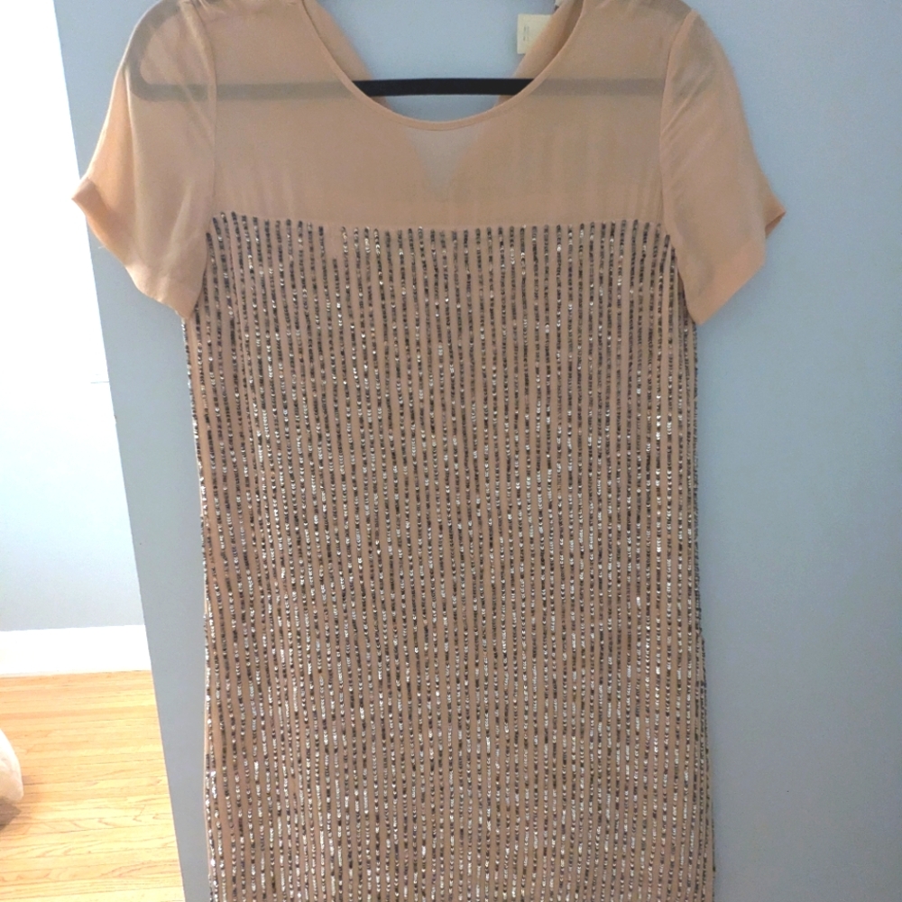 Club Monaco tunic sequence silk dress, blush
